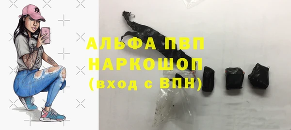гашик Аркадак
