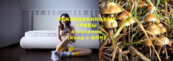 гашик Аркадак
