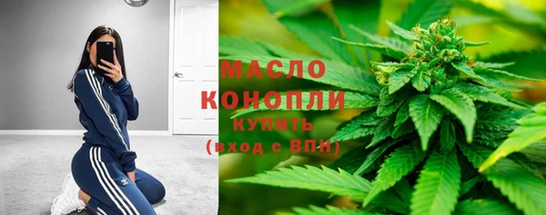 гашик Аркадак