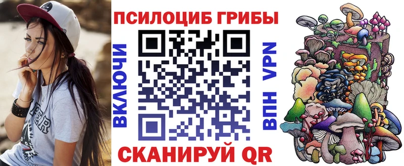 Галлюциногенные грибы Psilocybe  Салават 