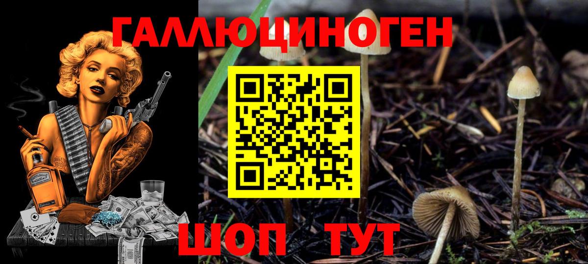 Псилоцибиновые грибы Cubensis Салават
