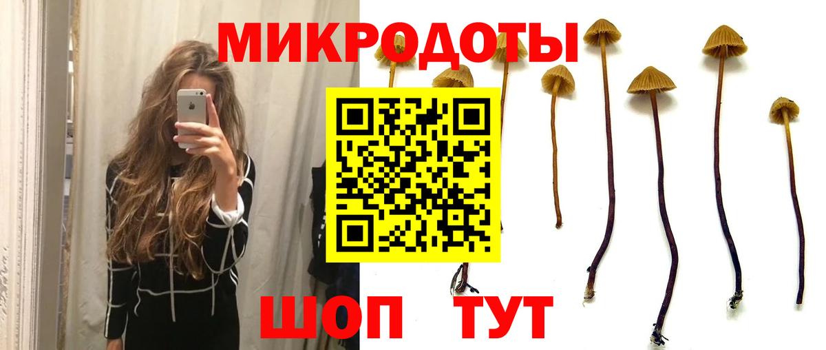 Салават  Галлюциногенные грибы Magic Shrooms  Вход с VPN  Галлюциногенные грибы мицелий 