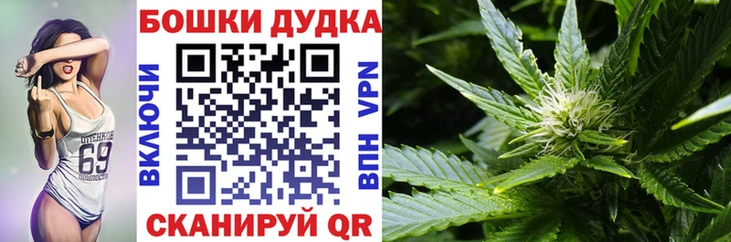 цены наркотик  Салават  Конопля гибрид 